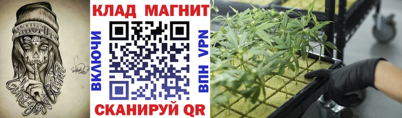 Псилоцибиновые грибы Катав-Ивановск