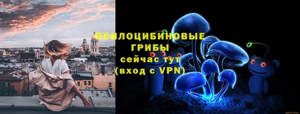 амф Богданович