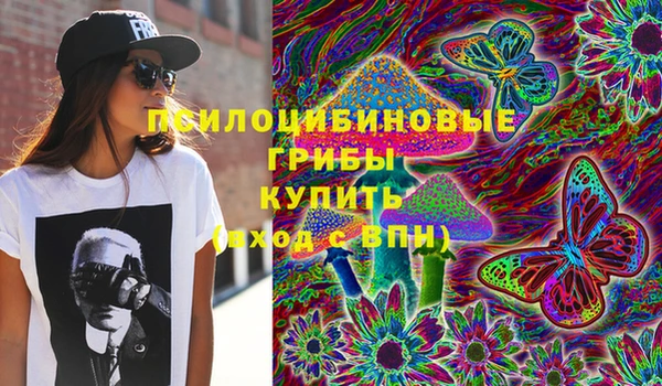 амф Богданович