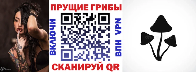 Галлюциногенные грибы GOLDEN TEACHER  где найти наркотики  Катав-Ивановск 