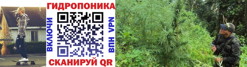 kraken онион Катав-Ивановск Бошки Шишки SATIVA & INDICA